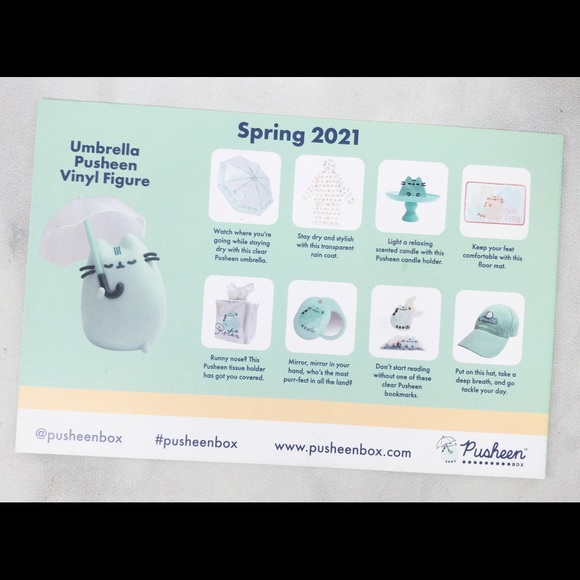 Tissue Box Cover - from Pusheen Box Spring 2021 - 3 PUSHEEN ITEMS FOR $20 - Picture 5 of 5